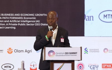 Legal framework key to proper use of AI in Ghana –Margins CEO