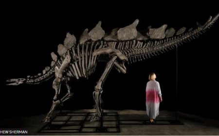 Dinosaur hunter stumbles across million-dollar find