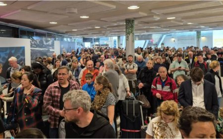 Home Office says Eurostar e-gate issue fixed