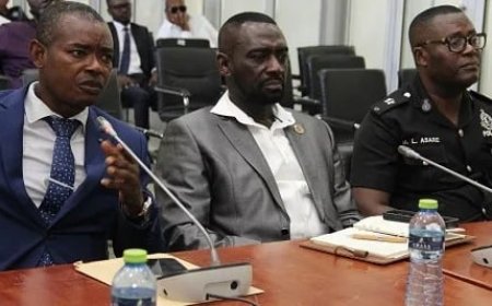 Parliament calls plot to oust Ghana's IGP a 'professional misconduct.