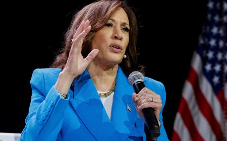 Democrats look to Kamala Harris - but could she beat Trump?