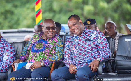 Napo had unanimous support as running mate – Akufo-Addo