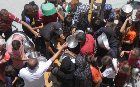 Famine has spread throughout Gaza, say UN experts By Eyad Kourdi