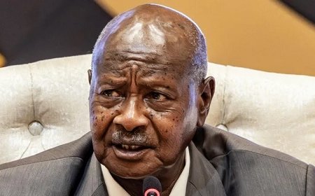 Ugandan TikToker jailed for insulting president