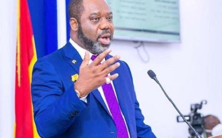 Napo resigns as Energy Minister