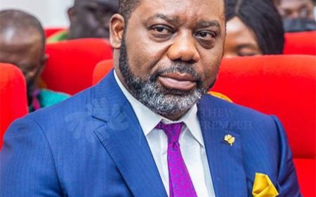 I did not mean to denigrate Nkrumah - Napo apologises