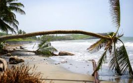 Officials plead for $9 million in aid weeks after Hurricane Beryl devastates the southeast Caribbean