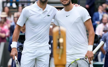 Carlos Alcaraz and Novak Djokovic will meet in the Wimbledon men’s final again