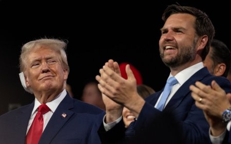 How Donald Trump landed on JD Vance as his vice presidential pick