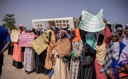 Gambian parliament rejects bid to overturn historic ban on female genital mutilation