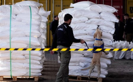 Paraguay carries out largest cocaine bust in its history as 4 tons are found in sugar shipment headed to Europe