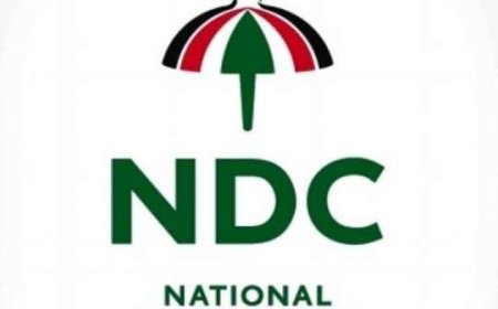 Don’t confer honorary doctorate degree on ‘undeserving Akufo-Addo’ – NDC Youth