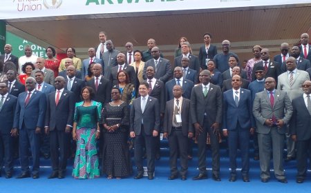 Let’s harness our collective strength to find solutions to Africa’s Challenges—Foreign Minister