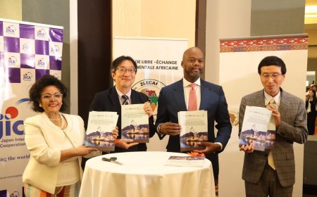 African Union Development Agency outdoors Guide for Country Impact Assessments