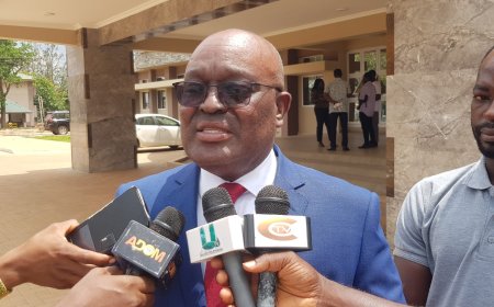 Large number of fishes, water bodies contaminated with mercury — EPA