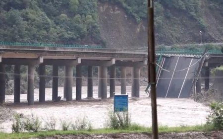 Bridge collapses in China killing 12 and leaving more than 30 missing