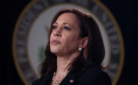 Harris could be the first Black woman and Asian American to lead a major party ticket