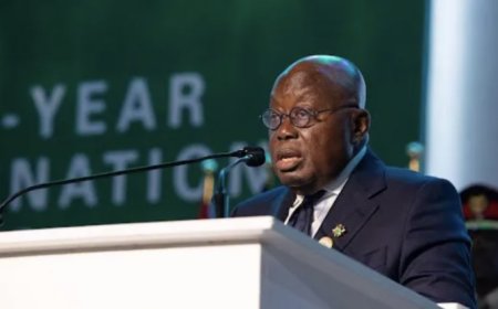 Intensify efforts to prevent illicit outflows from Africa — Akufo-Addo to peers