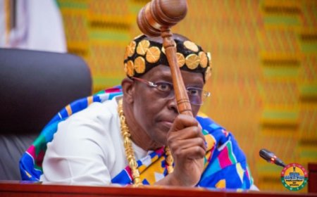 Speaker walks out Sefwi Wiawso MP over ‘rude’ comment