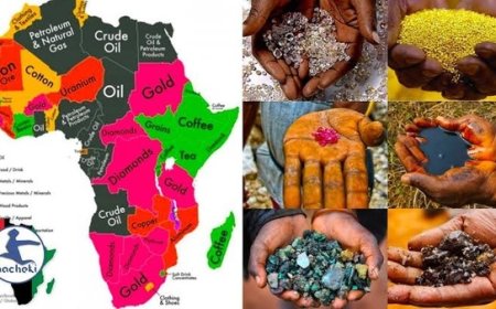 Africa’s Natural Resources: Who’s After What And What’s The Continent’s Strategy In The Scramble Game?