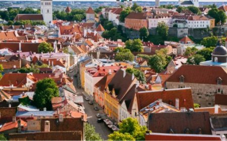 The world’s most powerful passports for 2024 so far