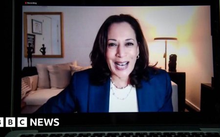 Giant Zoom calls fuel record fundraising behind Harris campaign