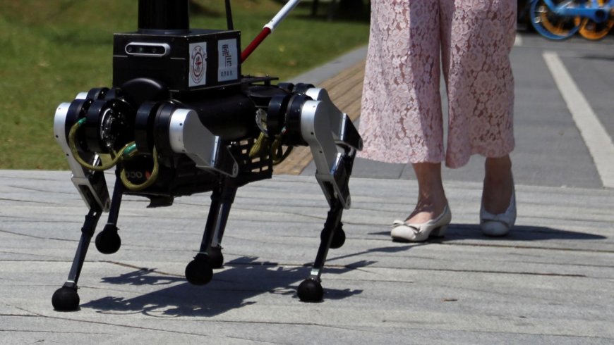 Chinese researchers test robot ‘guide dogs’ to help the visually impaired