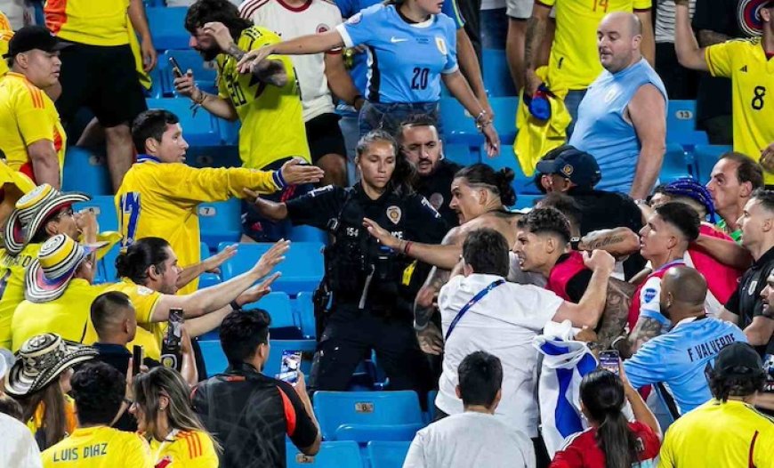 Copa America: Darwin Núñez and Uruguay players clash with fans after exit