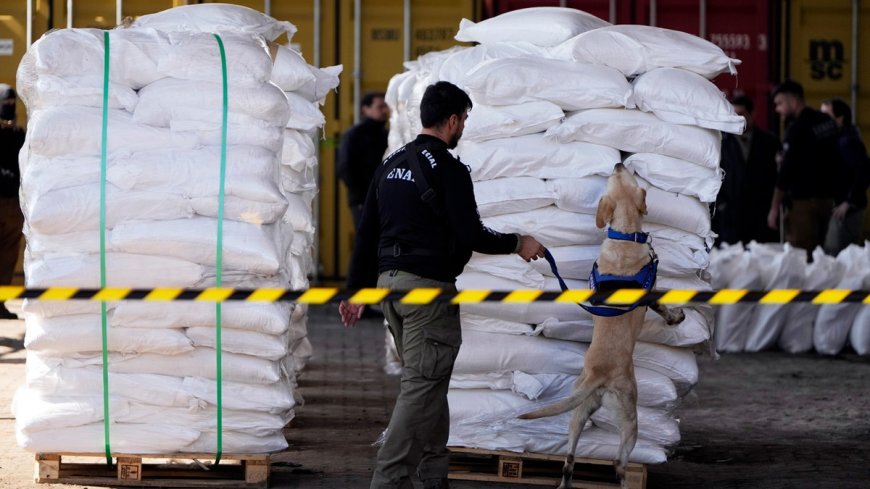 Paraguay carries out largest cocaine bust in its history as 4 tons are found in sugar shipment headed to Europe