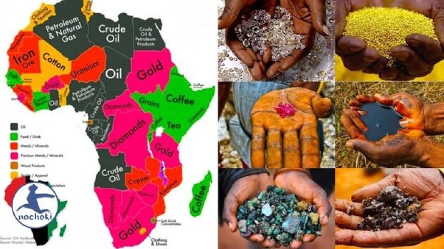 Africa’s Natural Resources: Who’s After What And What’s The Continent’s Strategy In The Scramble Game?