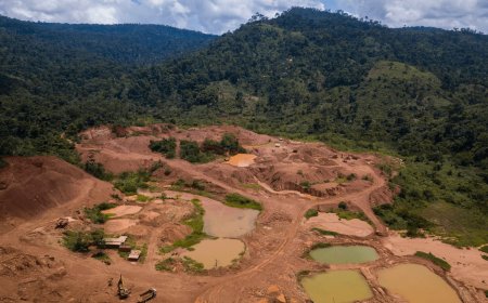 Mahama promises to stop mining in forest reserves when he regains presidency