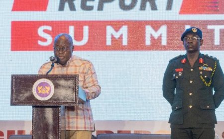 Agyapadie’ is a fabricated document by my political rivals – Akufo-Addo