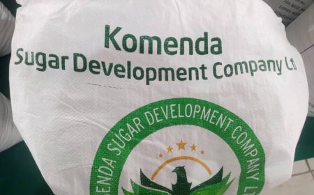 I am warning the buyer to be transparent- Mahama cautions Komenda Sugar Factory investors