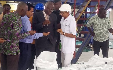 Komenda Sugar factory set to be leased to Indian firm for 15 years – K.T. Hammond