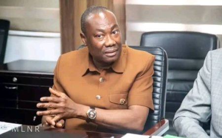 Gold exports to hit US$10bn by 2024 ending – Minerals Commission CEO