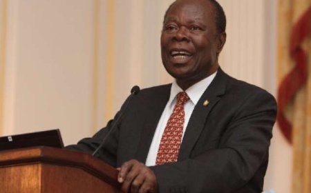 Agyapadie document is a diabolical scheme by Kyebi Mafia - Ohene Agyekum