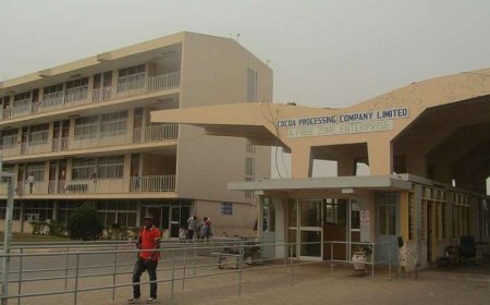 Cocoa Processing Company records $9.5m loss in first half of 2024