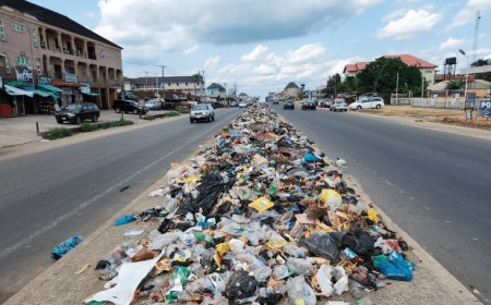 Special report: Waste Management Crisis in Lagos