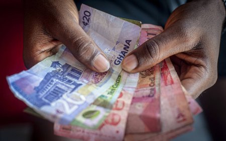 IFS warns government of domestic budget financing