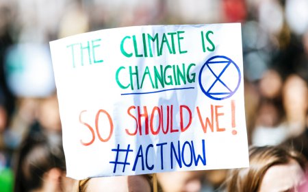 Fighting Climate Change : The NGO Effect