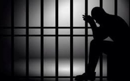 Woman jailed 18 months for stabbing tailor in the neck with broken