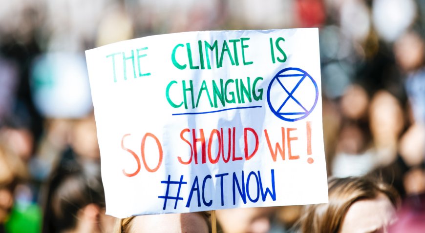 Fighting Climate Change : The NGO Effect