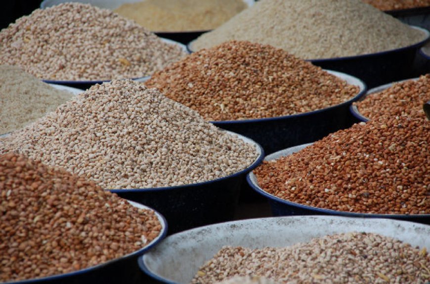 Minority slams ban on grain exportation