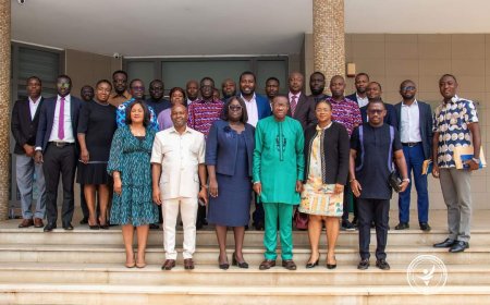 NHIA CEO meets with private Insurers to curb illegal payments