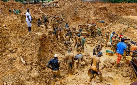 UTAG demand nationwide ban on Mining in forest reserves, farms, rivers