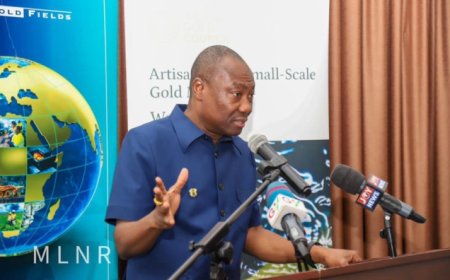 Banning Mining won't solve underlying Issues - Minerals Commission  CEO