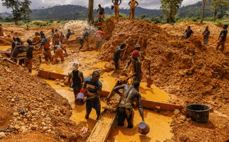 CHRAJ Commissioner slams Akufo-Addo over Galamsey crisis