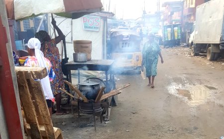 Air Pollution:  Breathing New Life into Lagos, Africa's biggest Economic hub