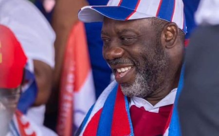 NAPO rallies for support in Manhyia constituency