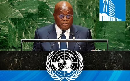 Akufo-Addo advocates for Africa's 'voice' in UN Security Council